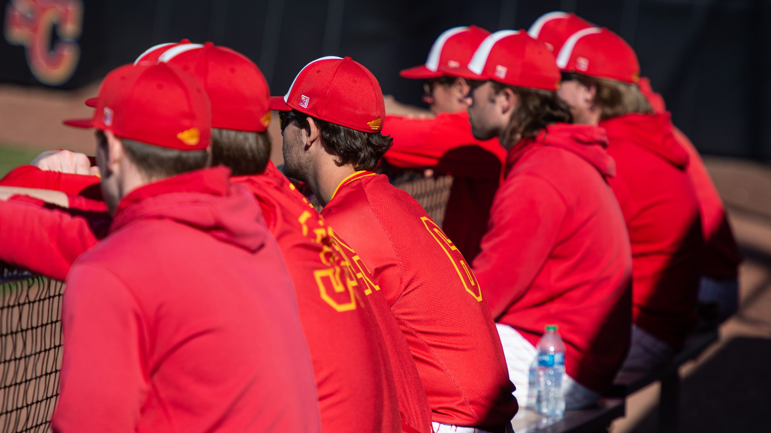Storm baseball receives ABCA academic award