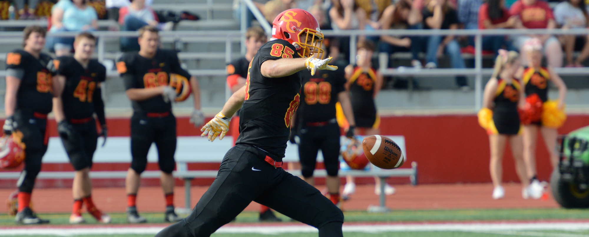 Hawkins named to D3football.com Team of the Week for second week in a row