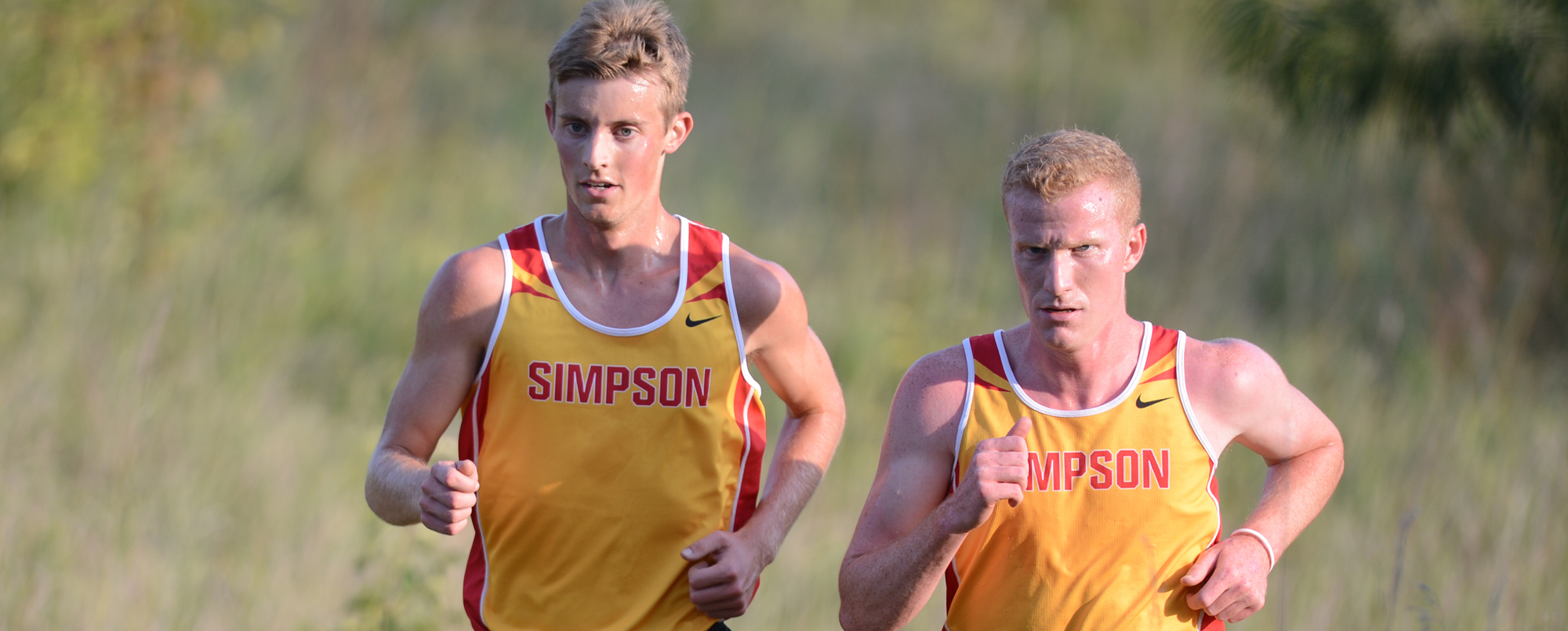 Thompson, McKenzie lead men&rsquo;s cross country to convincing win