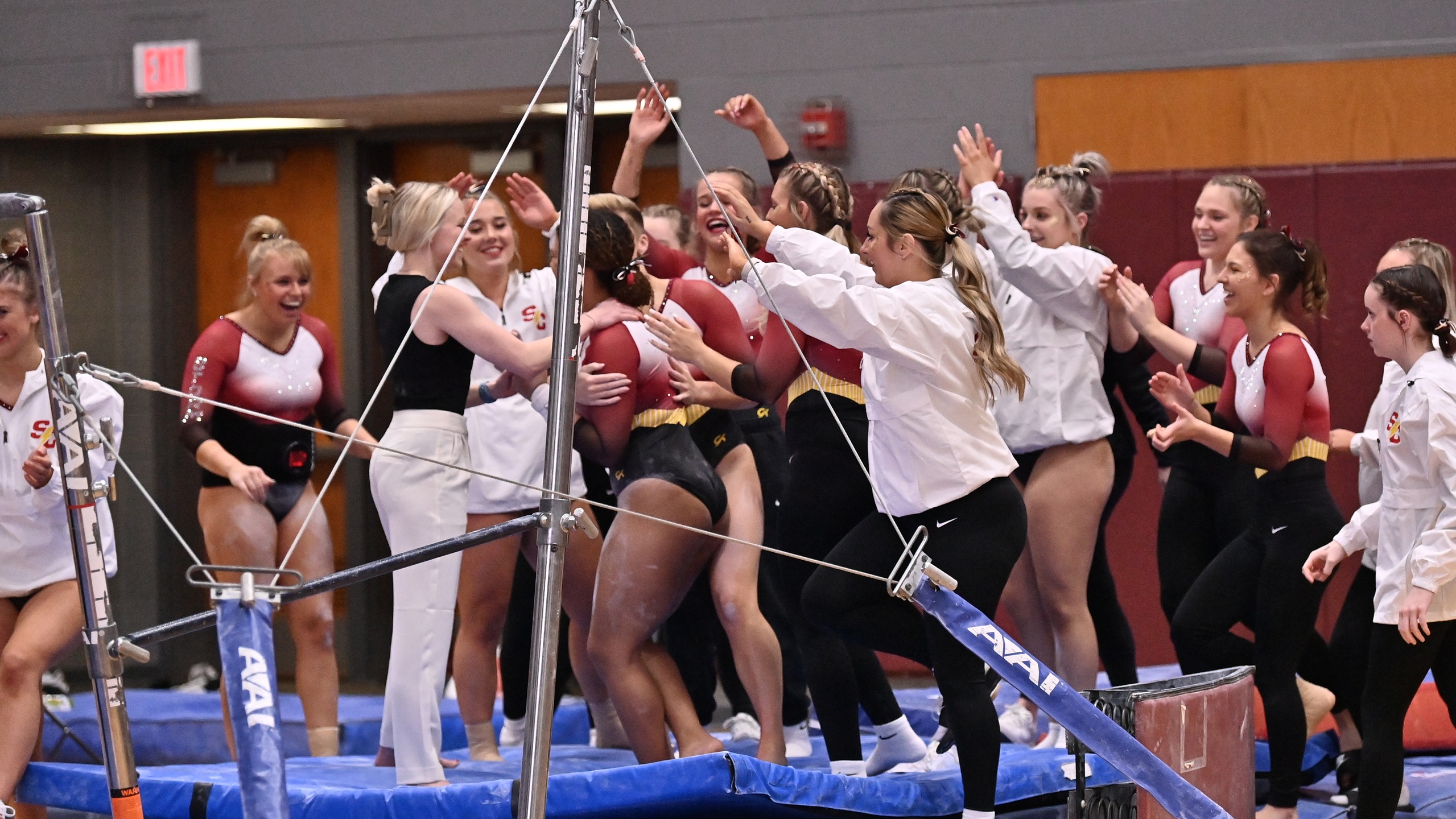 Nine gymnasts recognized by WCGA for academics