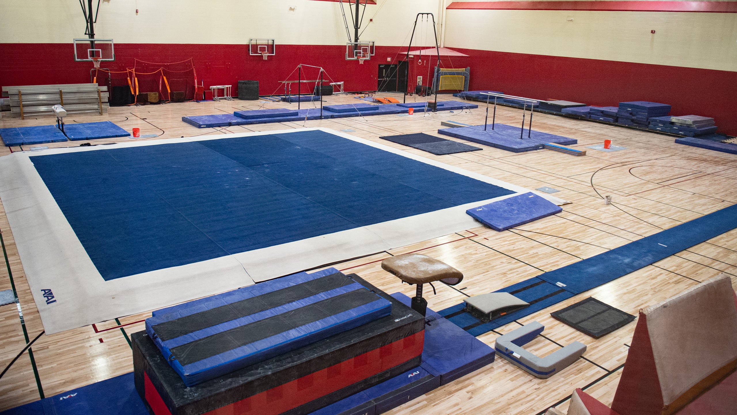 Seven gymnasts achieve academic all-district accolades