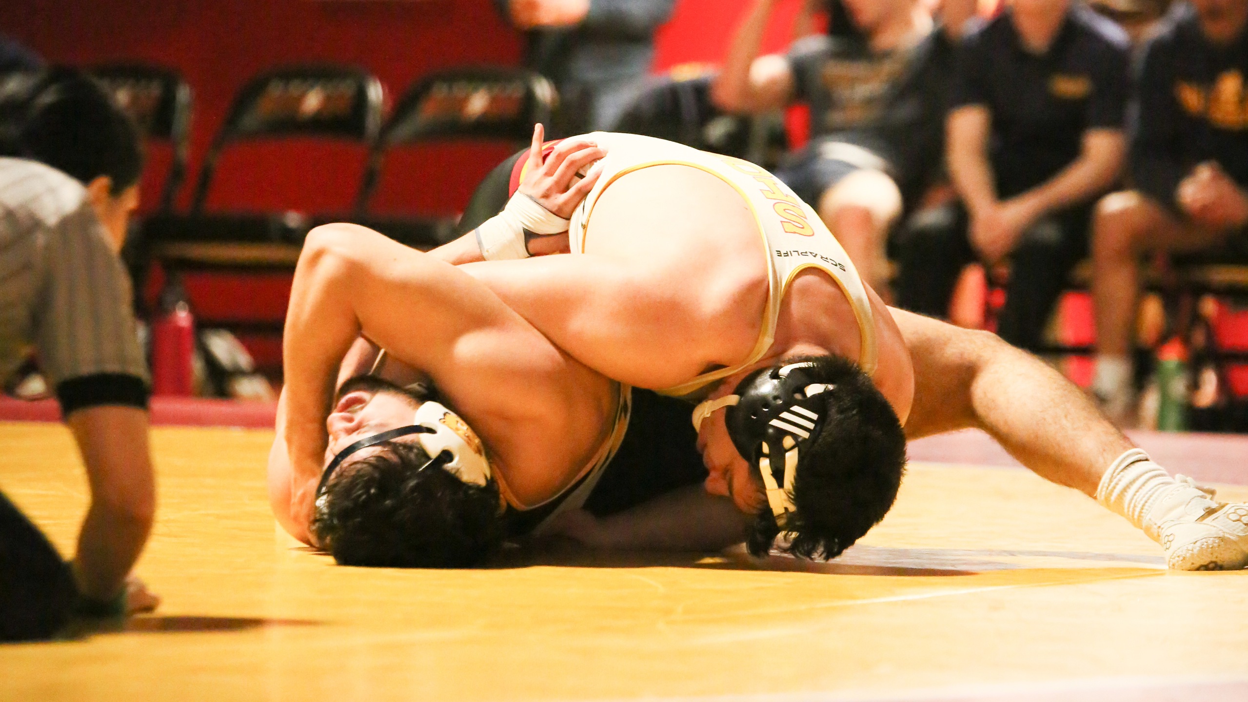 Shane Mathias (photo by Jared Oosterhuis)