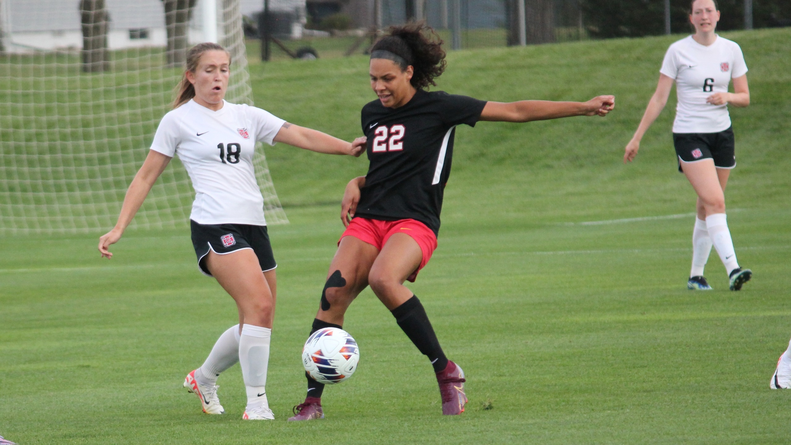 Senior Cassie Nash (photo courtesy of Grinnell Athletics)
