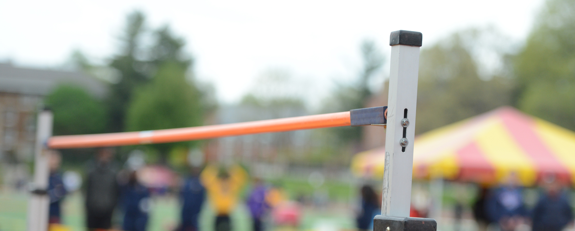 Timms posts big steeplechase effort