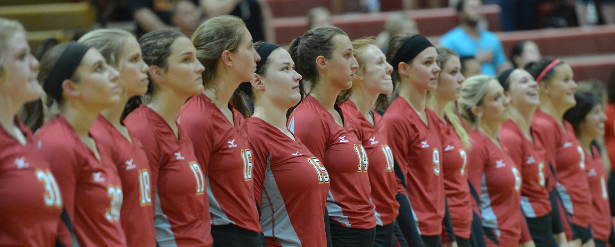 Storm earn AVCA Team Academic Award for 10th straight year